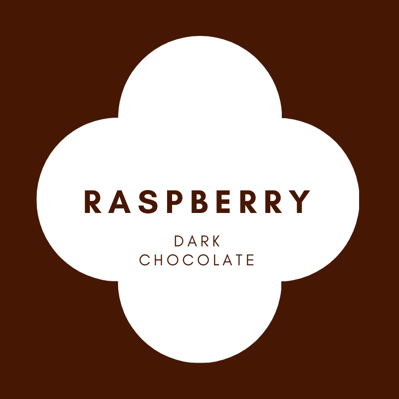 Disk | Raspberry | French Dark Chocolate | 62% Cacao | 80g